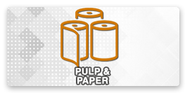 Pulp & Paper